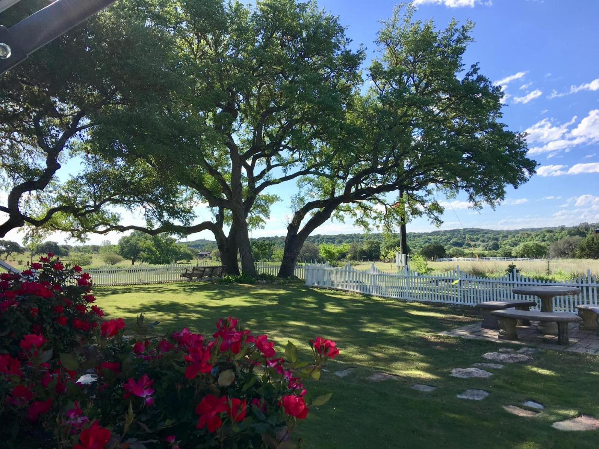 The Alexander At Creek Road Hotel Dripping Springs Exterior photo